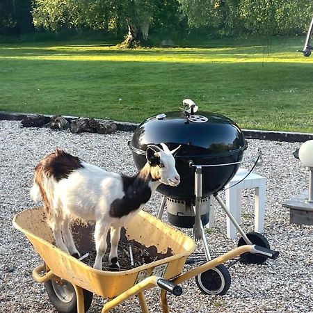 Les Gites De Claire Saint-Gatien-des-Bois ภายนอก รูปภาพ
