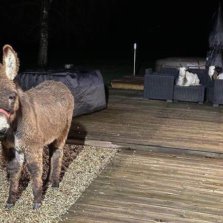 Les Gites De Claire Saint-Gatien-des-Bois ภายนอก รูปภาพ