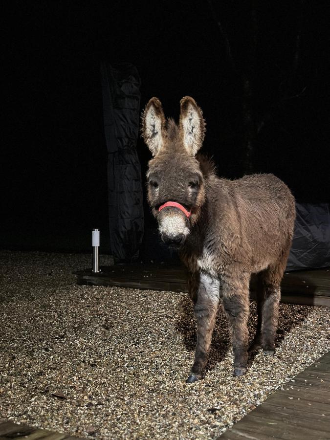 Les Gites De Claire Saint-Gatien-des-Bois ภายนอก รูปภาพ