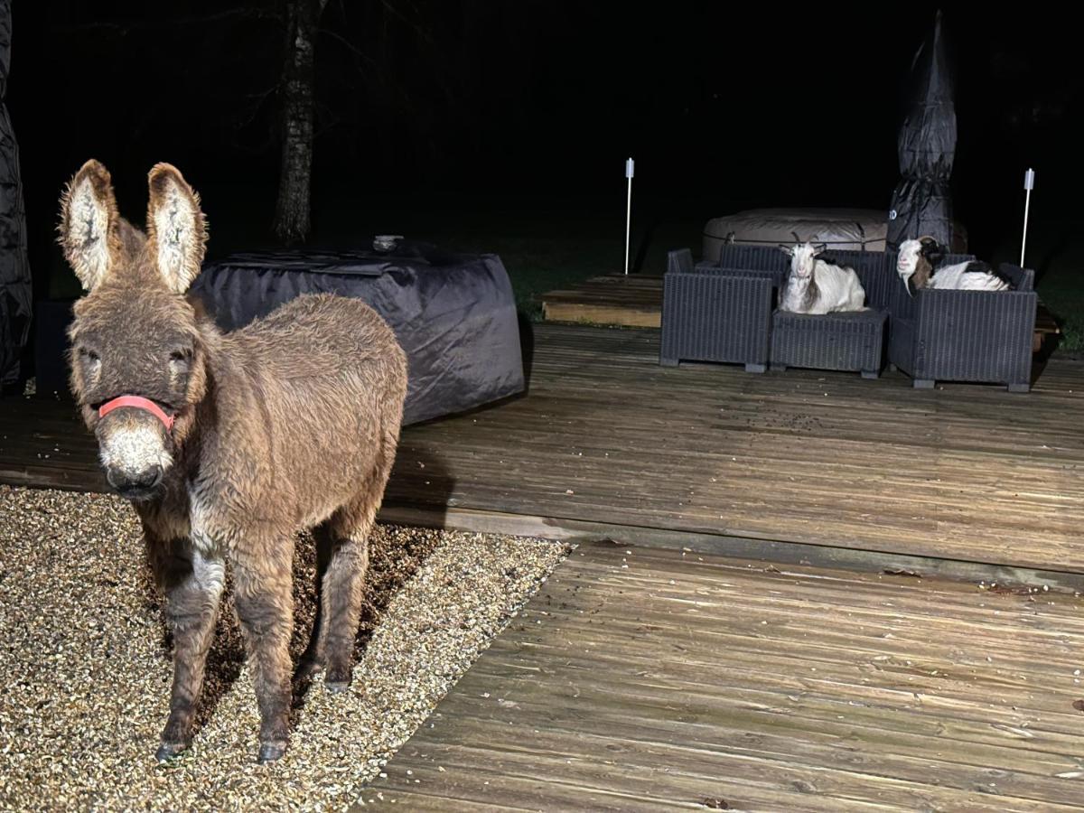 Les Gites De Claire Saint-Gatien-des-Bois ภายนอก รูปภาพ